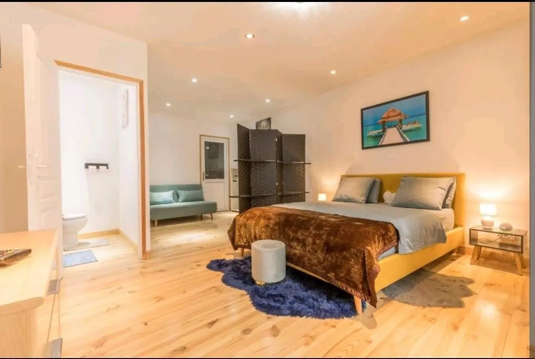 Superbe Grande Maison De Ville! Solomiac Holiday home